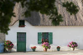 tkm001_817971
