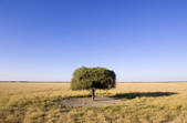 tkm001_821901