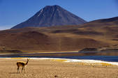 tkm001_822051