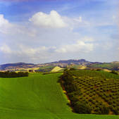 tkm001_852180