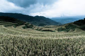 tkm001_854759