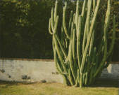 tkm001_877240