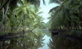tkm001_880820