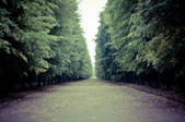 tkm001_887441