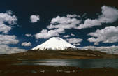 tkm001_890294