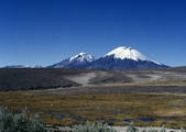 tkm001_890296