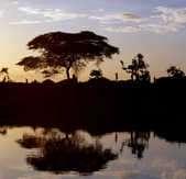 tkm003_181870