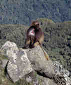 tkm003_182147