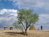 tkm003_183016