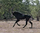 tkm003_185960