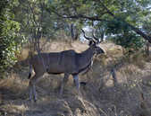 tkm003_185962