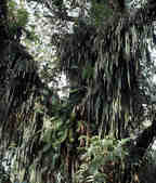 tkm003_186404