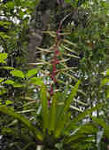 tkm003_187779