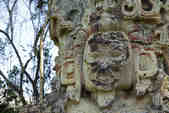 tkm003_190265