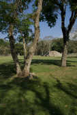 tkm003_190266
