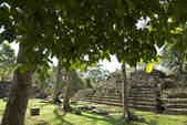 tkm003_190274