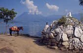 tkm003_193042