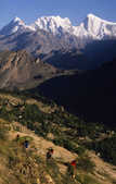 tkm003_193275