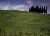tkm003_193876