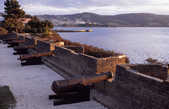 tkm003_196274