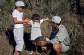 tkm003_197779