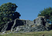 tkm003_197975
