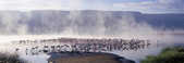 tkm003_199000