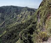 tkm003_199057
