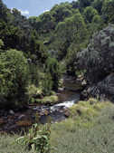 tkm003_199215