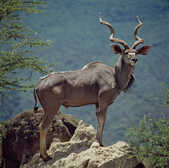 tkm003_199279