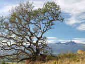 tkm003_199707