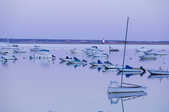 tkm003_202620