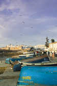 tkm003_203990