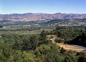 tkm003_204397