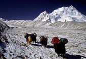 tkm003_204493