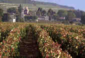 tkm003_205936