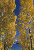 tkm003_208066