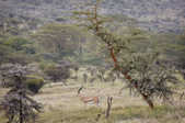 tkm003_209160