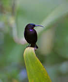 tkm003_211066