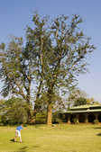 tkm003_211125