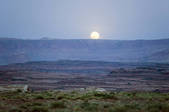 tkm003_401315