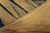 tkm003_401937