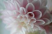 tkm003_545776