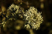 tkm003_548208
