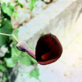 tkm003_551058