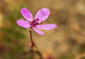 tkm003_551655