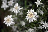 tkm003_552208