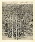 tkm003_554645