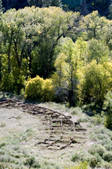 tkm003_575516