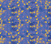 tkm003_577662